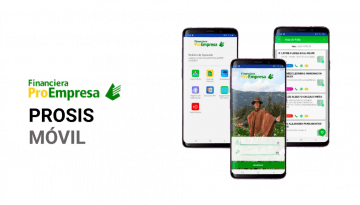 Imagen de proyecto Financiera ProEmpresa