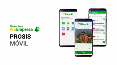 Imagen de proyecto Financiera ProEmpresa